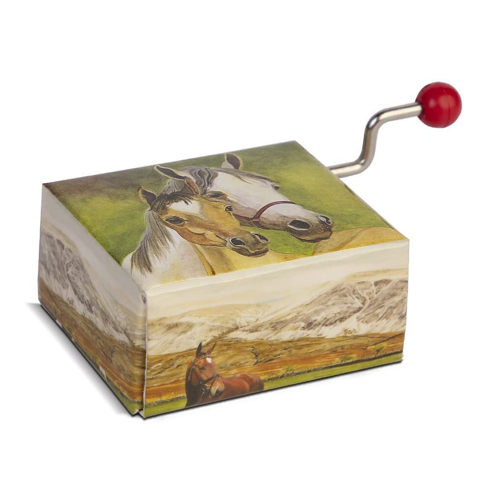 6527 Music Box - Hand Crank Music Boxes for Girls & Boys Gifts |O Suzanna
